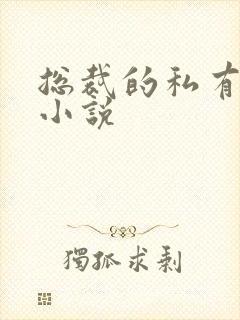 总裁的私有宝贝小说