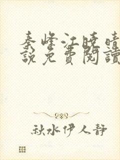 秦峰江晓晴的小说免费阅读