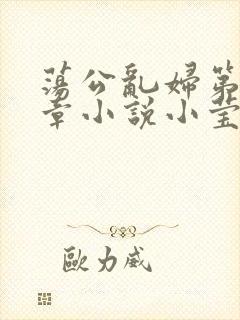 荡公乱妇第51章小说小莹