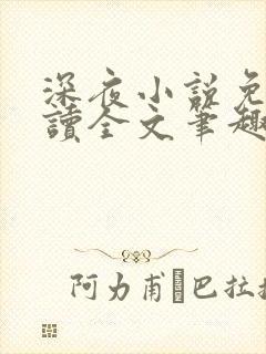 深夜小说免费阅读全文笔趣阁
