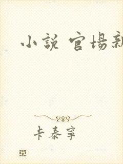 小说 官场新贵