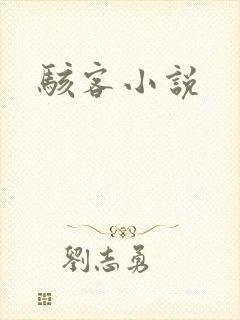 骇客小说封面