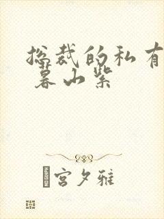 总裁的私有宝贝 暮山紫