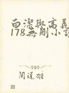 白洁与高义1～178无删小说封面