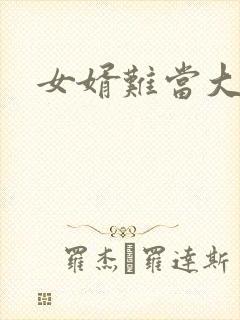 女婿难当大结局封面