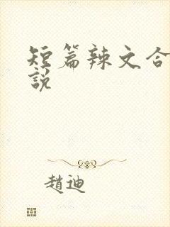 短篇辣文合集小说封面
