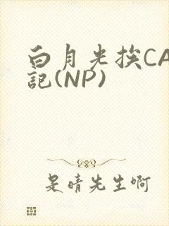 白月光挨CAO记(NP)