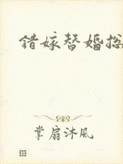 错嫁替婚总裁