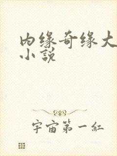内缘奇缘大团圆小说