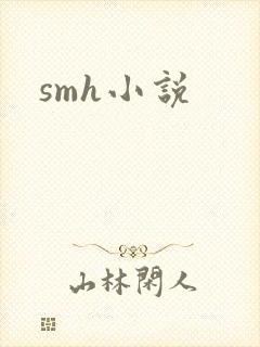 smh小说封面