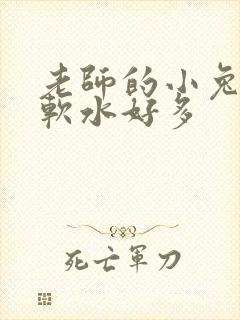老师的小兔子好软水好多