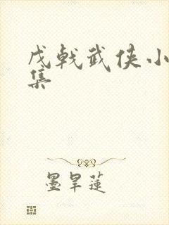 戊戟武侠小说全集封面