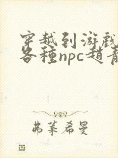 穿越到游戏里和各种npc赵青蔓封面