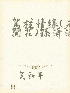 驾校情缘(老树开花)孙潇潇笔趣阁封面
