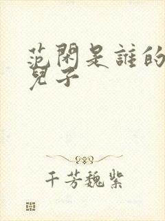 范闲是谁的亲生儿子封面