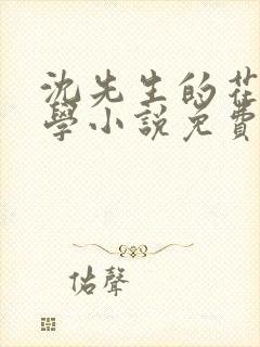 沈先生的花式教学小说免费