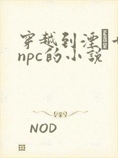 穿越到湮婸世界npc的小说封面