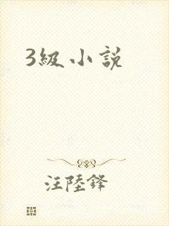 3级小说封面