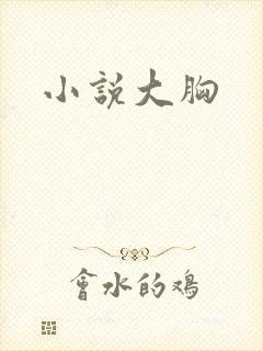 小说大胸