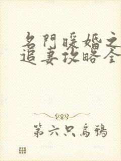 名门暖婚之权爷追妻攻略全文免费阅读