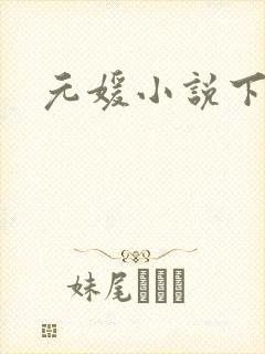 元媛小说下载封面