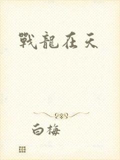 战龙在天