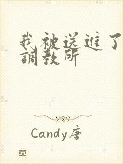 我被送进了私奴调教所
