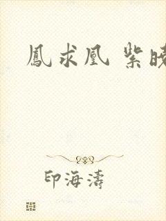 凤求凰 紫晓