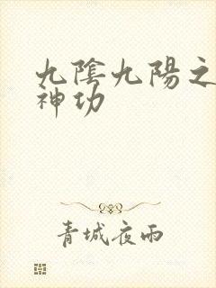 九阴九阳之阴阳神功