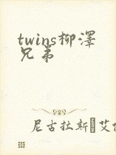 twins柳泽兄弟