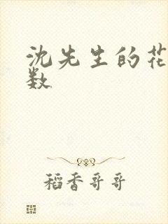 沈先生的花式调数