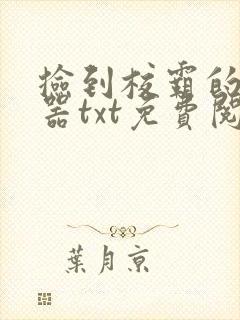 捡到校霸的遥控器txt免费阅读by阳阳