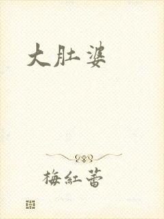 大肚婆封面