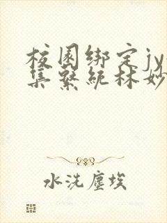 校园绑定jy收集系统林妙妙