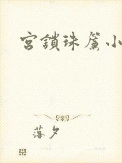 宫锁珠帘小说