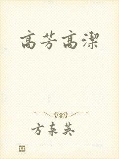 高芳高洁封面