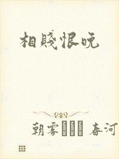 相贱恨晚封面