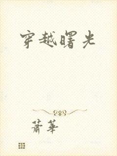 穿越曙光封面