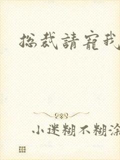 总裁请宠我封面
