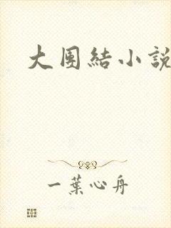 大团结小说全文