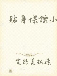 贴身保镖小说封面