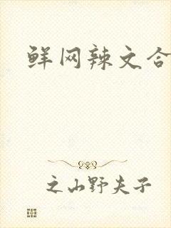 鲜网辣文合集封面