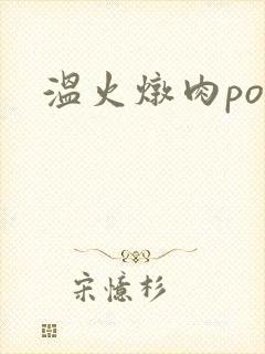 温火炖肉pop