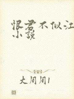 恨君不似江楼月小说