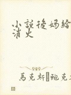 小说后妈给我消消火