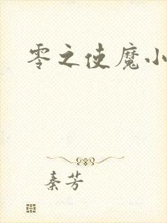 零之使魔小说