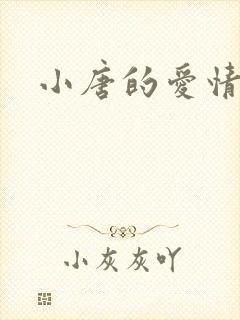 小唐的爱情史