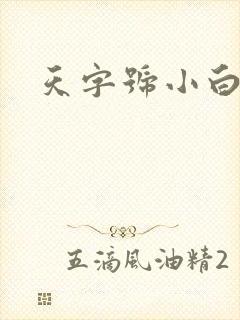天字号小白脸