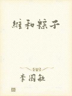 维和粽子封面