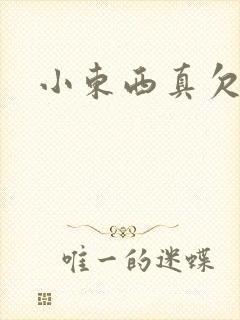 小东西真欠弄封面